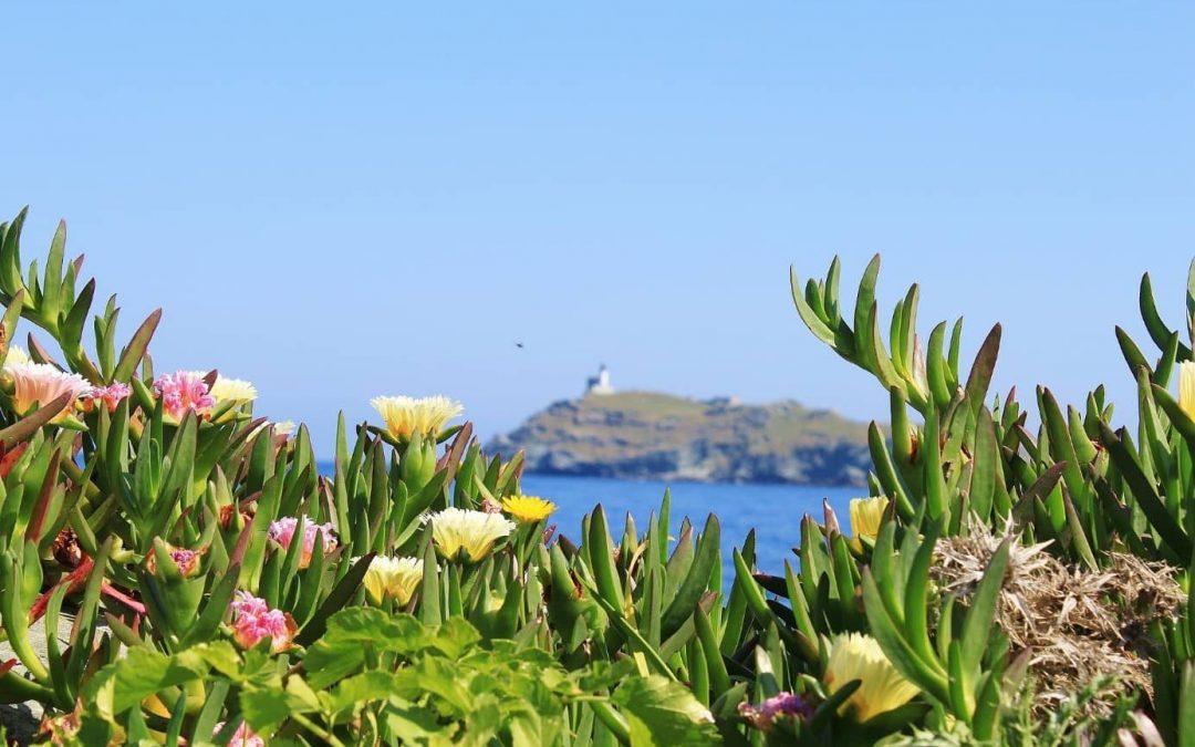 Pensez à passer d’inoubliables vacances sous le soleil méditerranéen