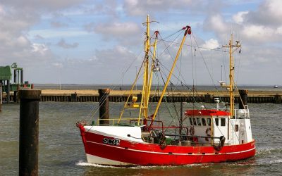 Quels sont les différents types de permis bateau ?