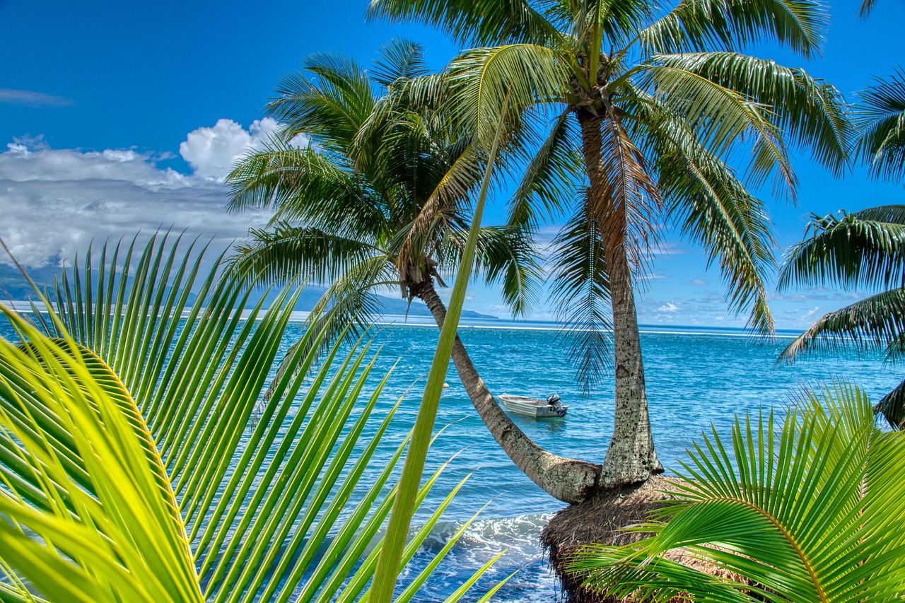 quand partir en polynesie
